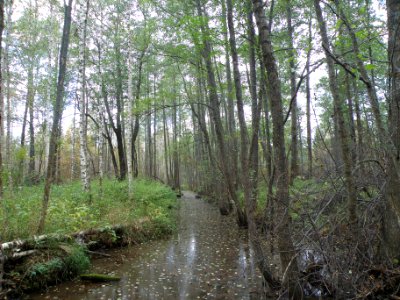 Shushmor River