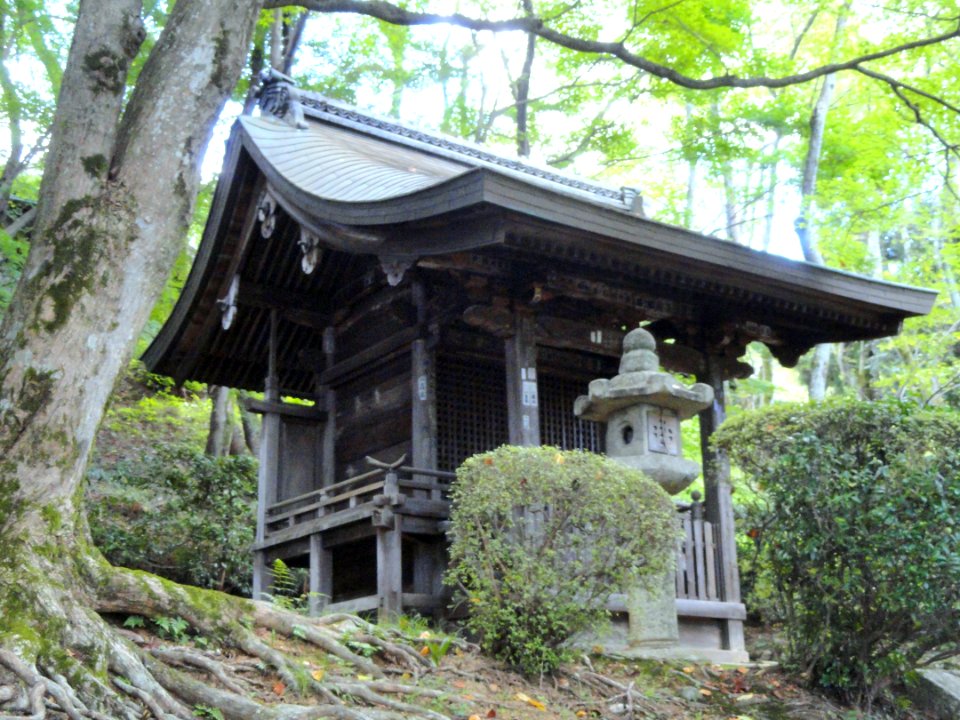 Shrine - Mii-dera - Otsu, Shiga - DSC07071