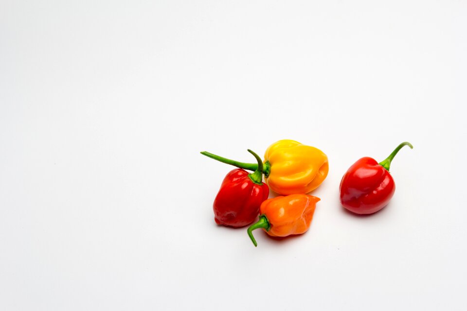 Spicy chile vegetables