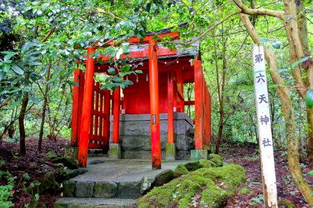 Shrine - Hakone-jinja - Hakone, Japan - DSC05880