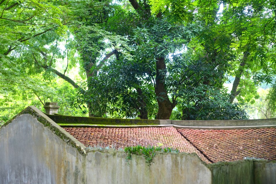 Shrine - Hanoi Botanical Garden - Hanoi, Vietnam - DSC03640