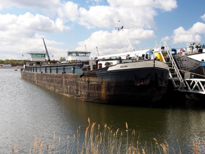 Shalona (ship, 1926) ENI 02302116 Port of Amsterdam pic1