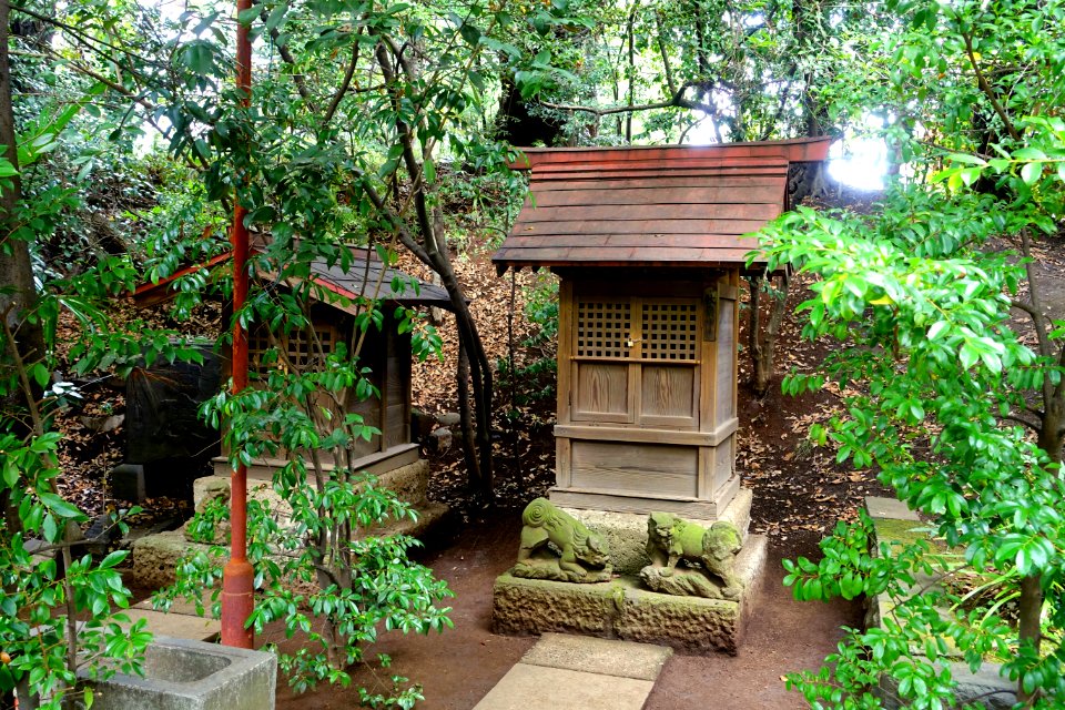Shrine - Shibuya Hikawa-jinja - Shibuya, Tokyo, Japan - DSC05515