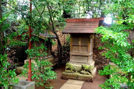 Shrine - Shibuya Hikawa-jinja - Shibuya, Tokyo, Japan - DSC05515