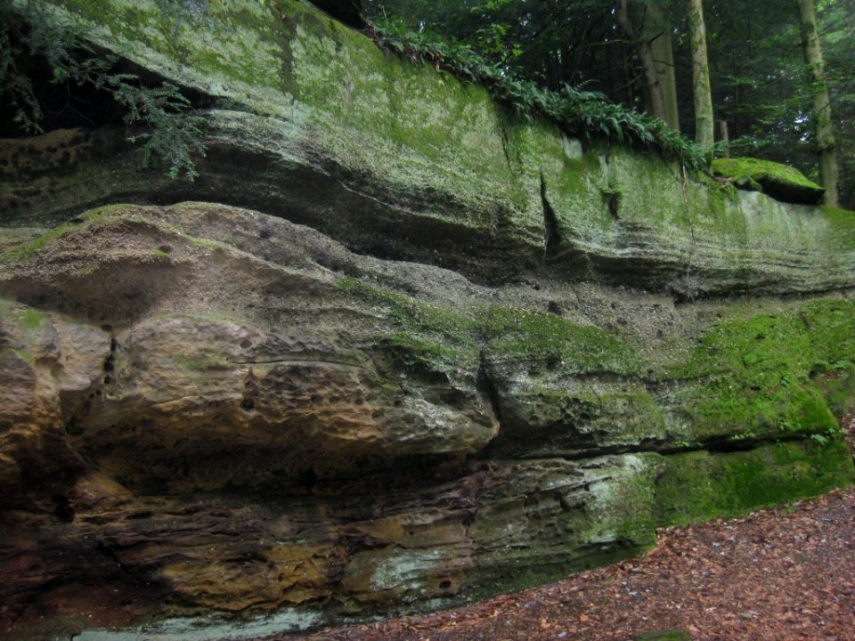 Sharon Conglomerate the Ledges July 2021 a