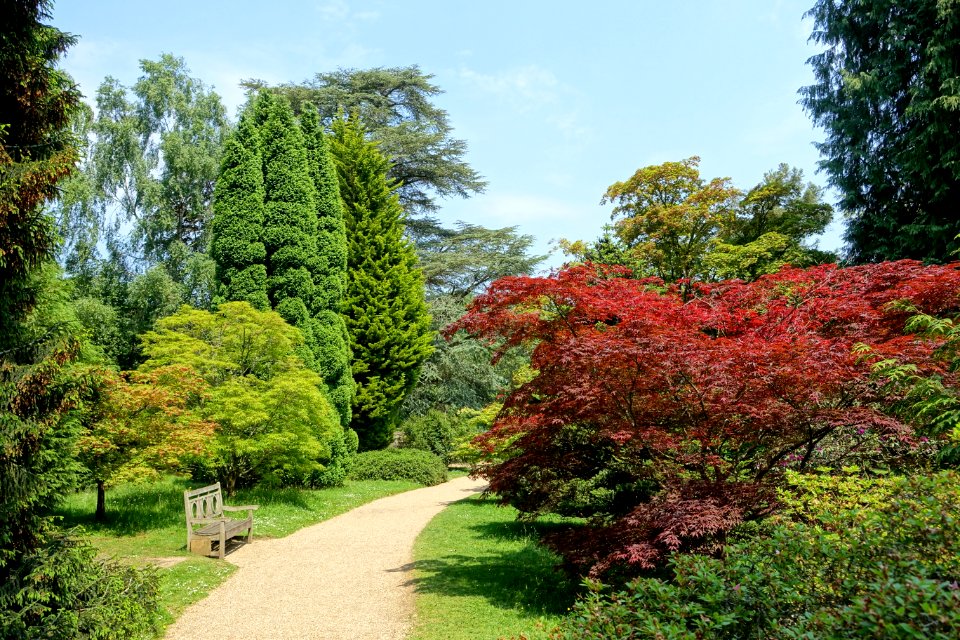 Sheffield Park and Garden - East Sussex, England - DSC05737
