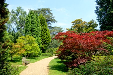 Sheffield Park and Garden - East Sussex, England - DSC05737