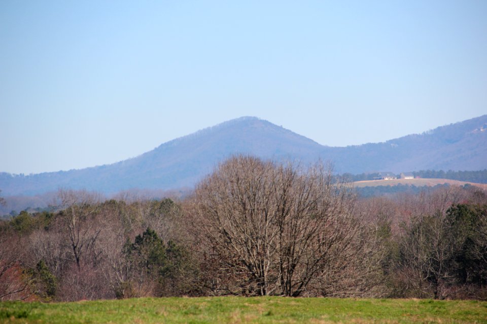 Sharp Mountain viewed from Stevenson Road, Pickens County, GA March 2021 1
