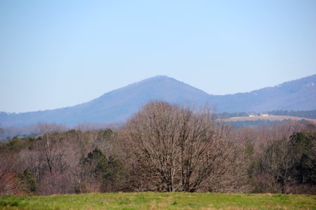 Sharp Mountain viewed from Stevenson Road, Pickens County, GA March 2021 1