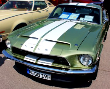 Shelby GT 500 Fastback 428cui