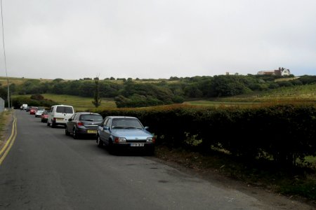 Sheepcote Valley, Brighton (July 2010)