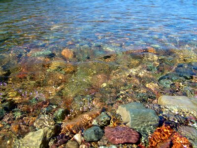 Nature lake russia photo