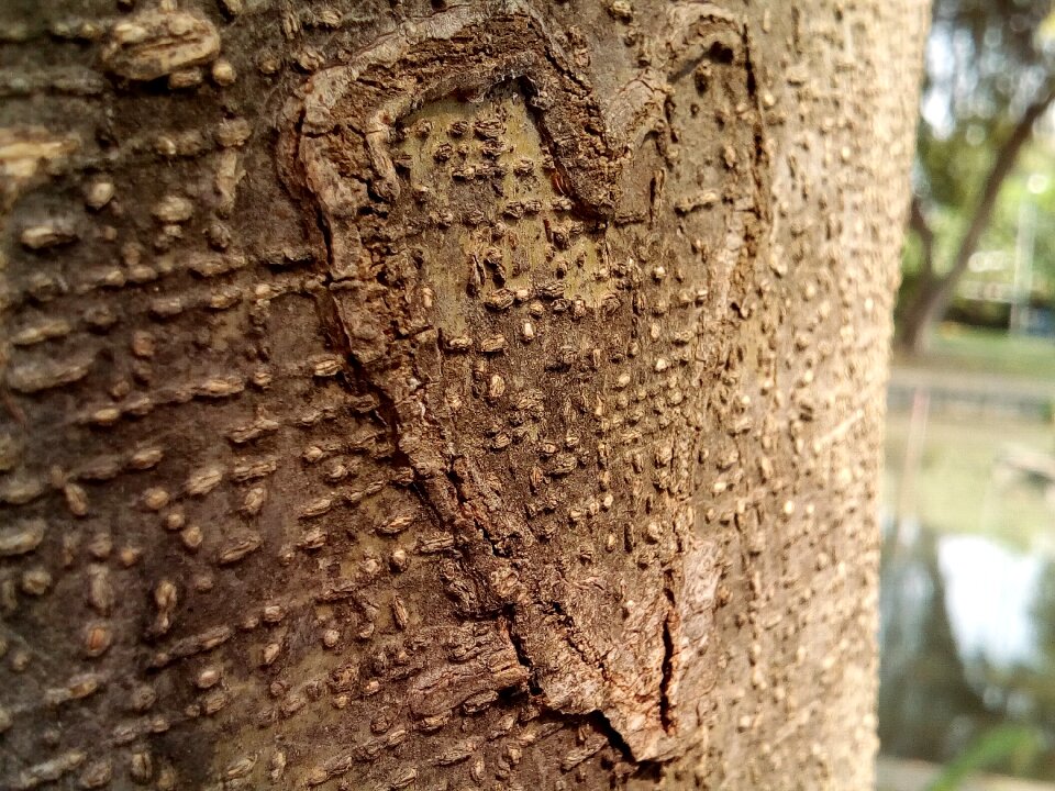 Wooden carving brown