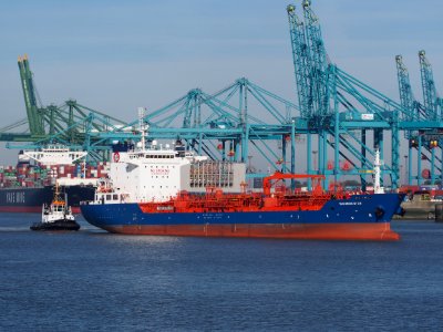 Shannon Star (ship, 2010) - IMO 9503926, Port of Antwerp pic1