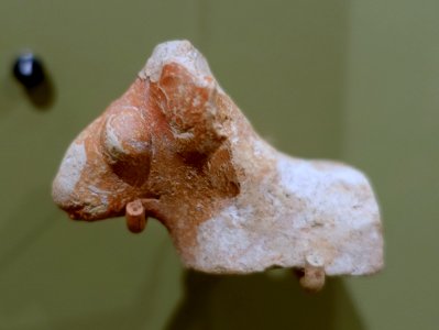 Sheep figurine (fragmentary), Samaria, Iron Age II, red-slipped terracotta - Harvard Semitic Museum - Cambridge, MA - DSC06045