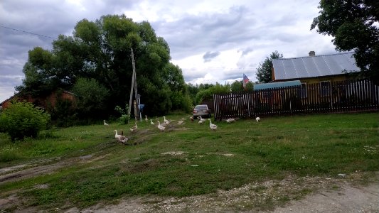 Shaturtorf 18 poselok 2019-07 3