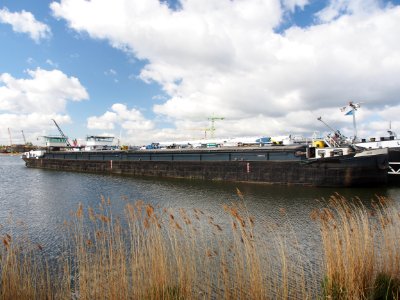 Shalona (ship, 1926) ENI 02302116 Port of Amsterdam pic2