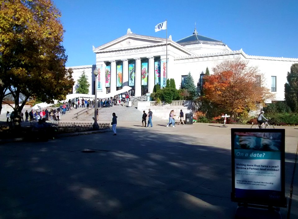 Shedd Aquarium (Building)