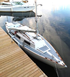 Shark 24 sailboat 4104