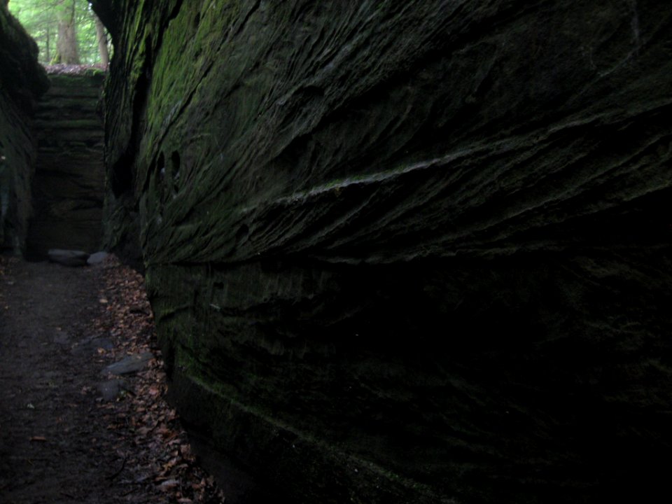 Sharon Conglomerate the Ledges July 2021 b