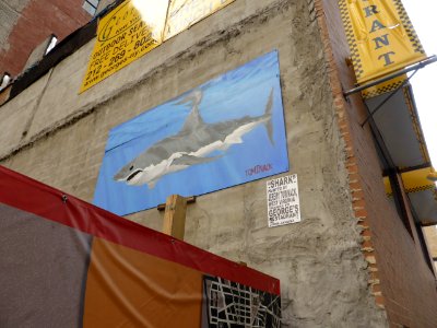 Shark-Painting-in-NYC