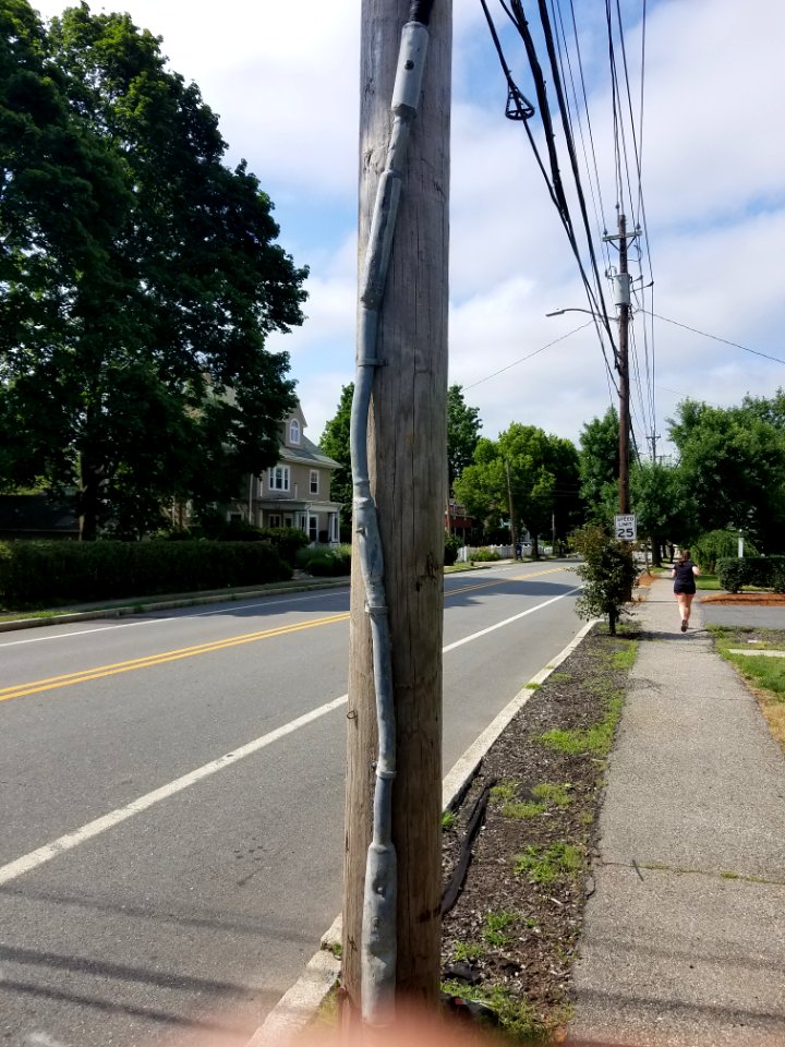 Sheath - Utility pole - Arlington, MA - 20200704 100332