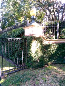 ShadysideHoustonSunsetentrancesign
