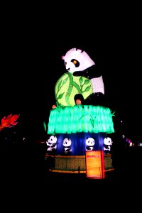 Shakopee Lantern Light Festival - Panda Oct 2017