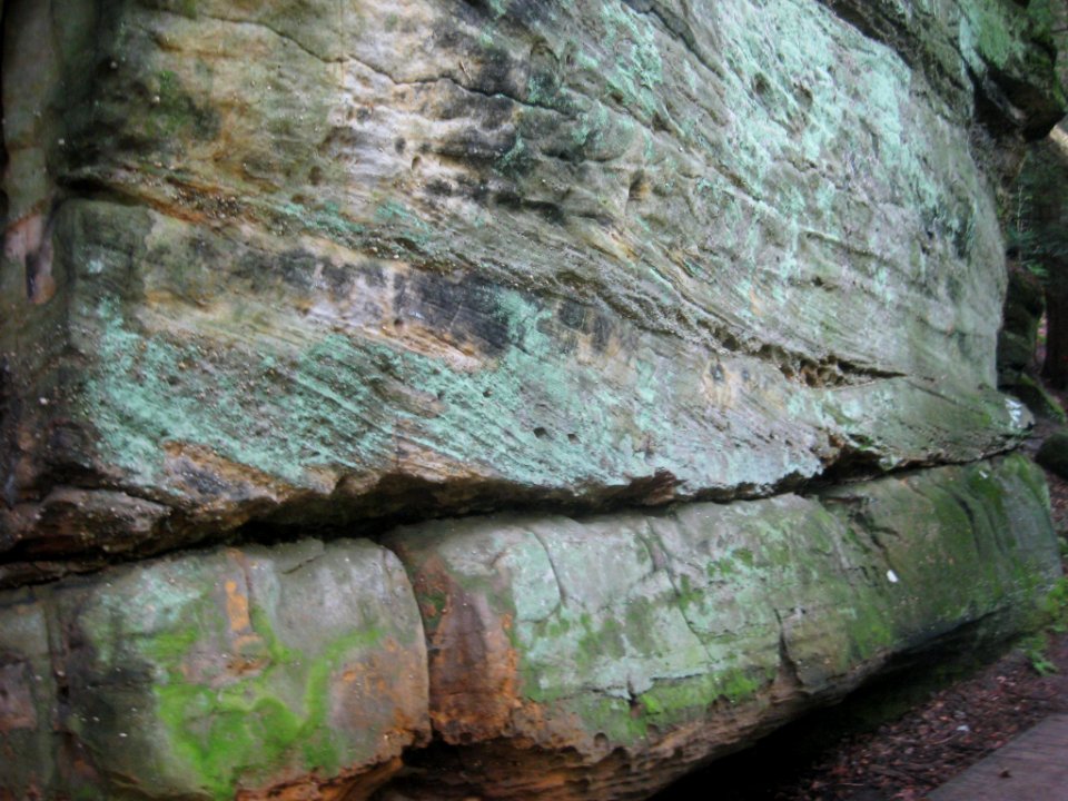 Sharon Conglomerate the Ledges July 2021 c