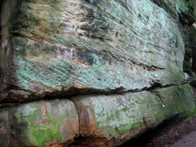 Sharon Conglomerate the Ledges July 2021 c