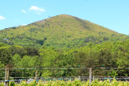 Sharp Mountain, Pickens County, Georgia
