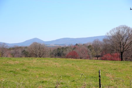 Sharp Mountain viewed from Stevenson Road, Pickens County, GA March 2021 2