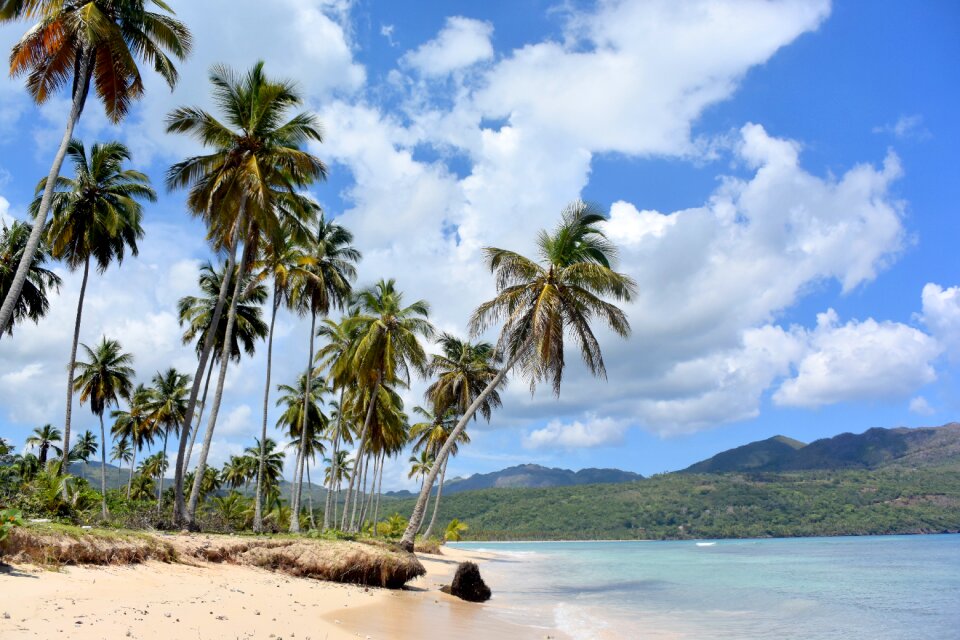 Ocean caribbean holiday