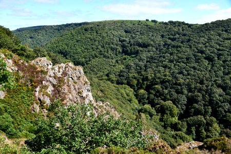 Sharp Tor (Castle Drogo)