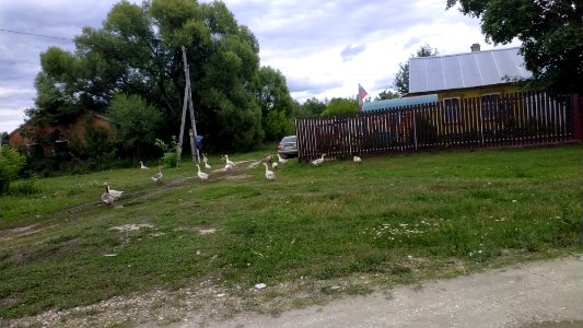 Shaturtorf 18 poselok 2019-07 2
