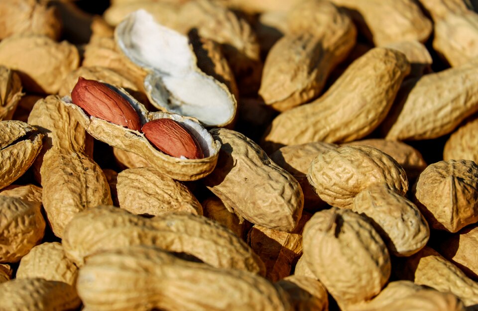 Cores snack healthy
