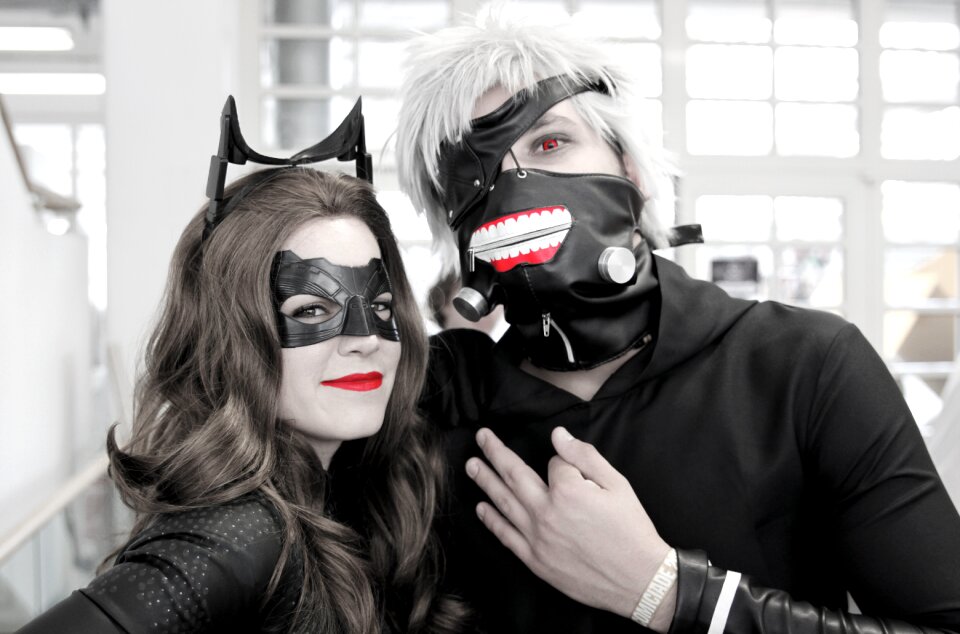 Catwoman batman panel