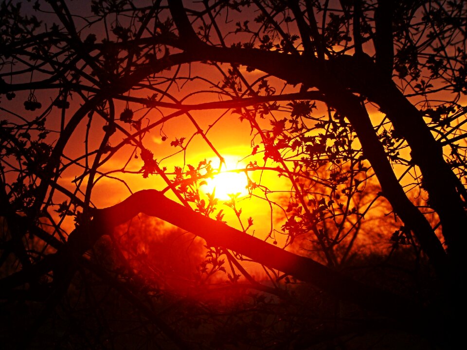 Sunset sun silhouettes