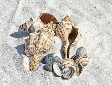 Beach sand sea