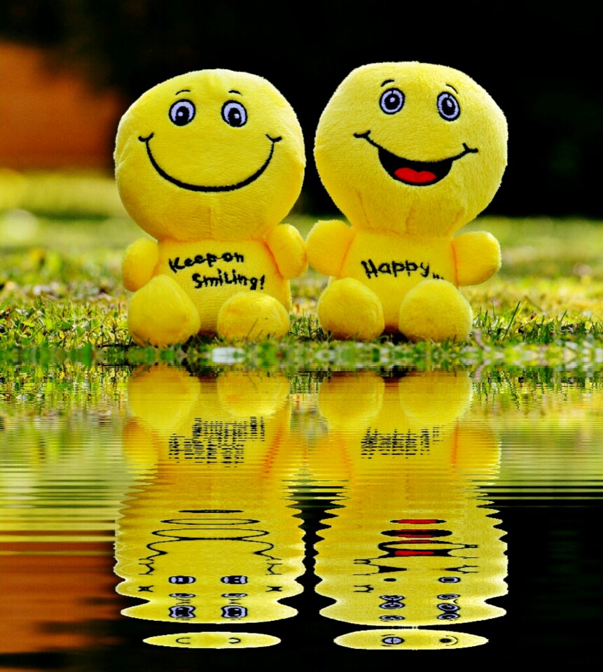 Mirroring water funny