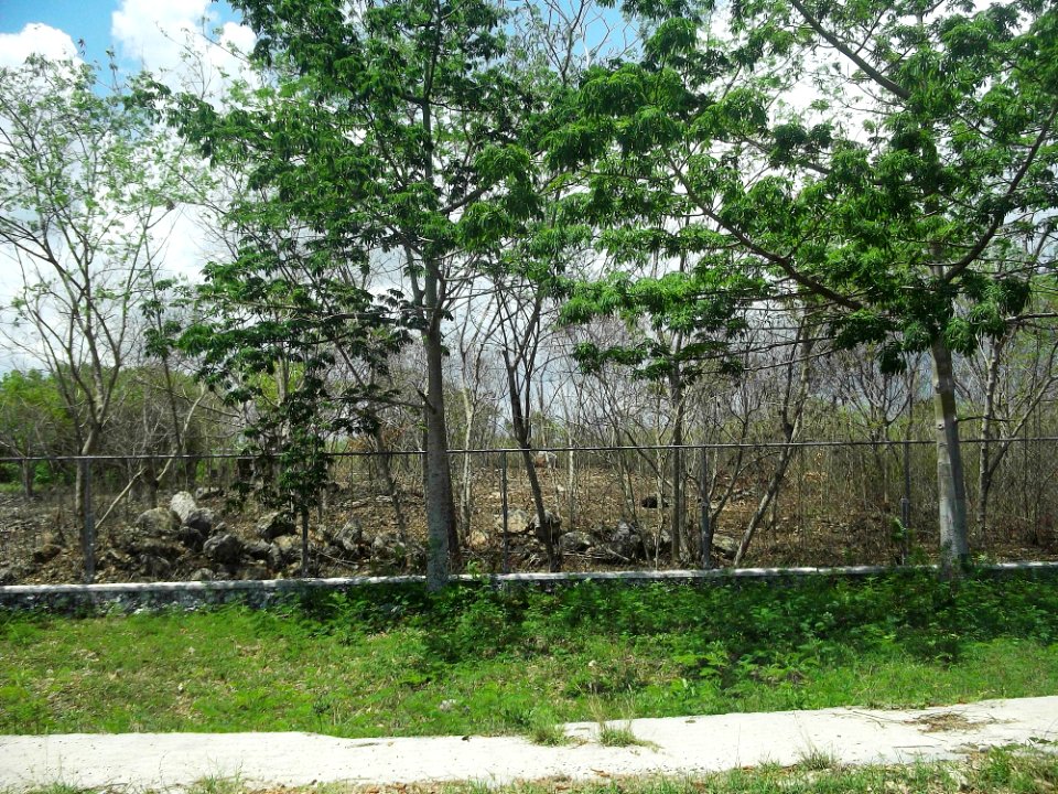 Seyé, Yucatán (02)