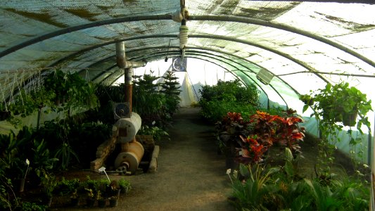 Shaghayegh (Eydiani-Idiani) flower shop - 17 st - Nishapur 05