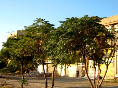 Shahide Gomnam e Sharghi (East) blv - Nishapur 03