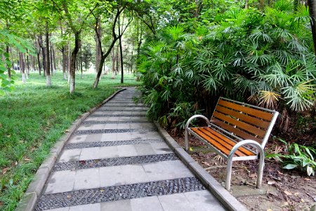 Shahe Dongli Verdant Lake Park - Chengdu, China - DSC05582