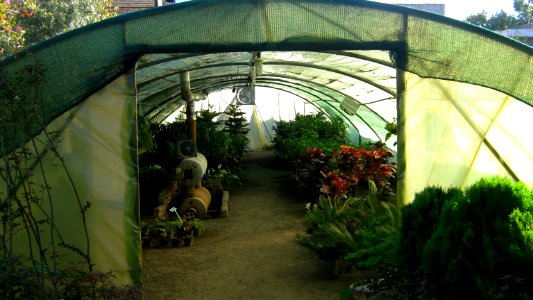 Shaghayegh (Eydiani-Idiani) flower shop - 17 st - Nishapur 06