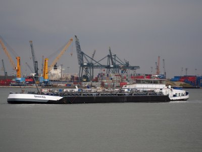 Shakira (ship, 2004), ENI 02326367, Port of Antwerp pic2