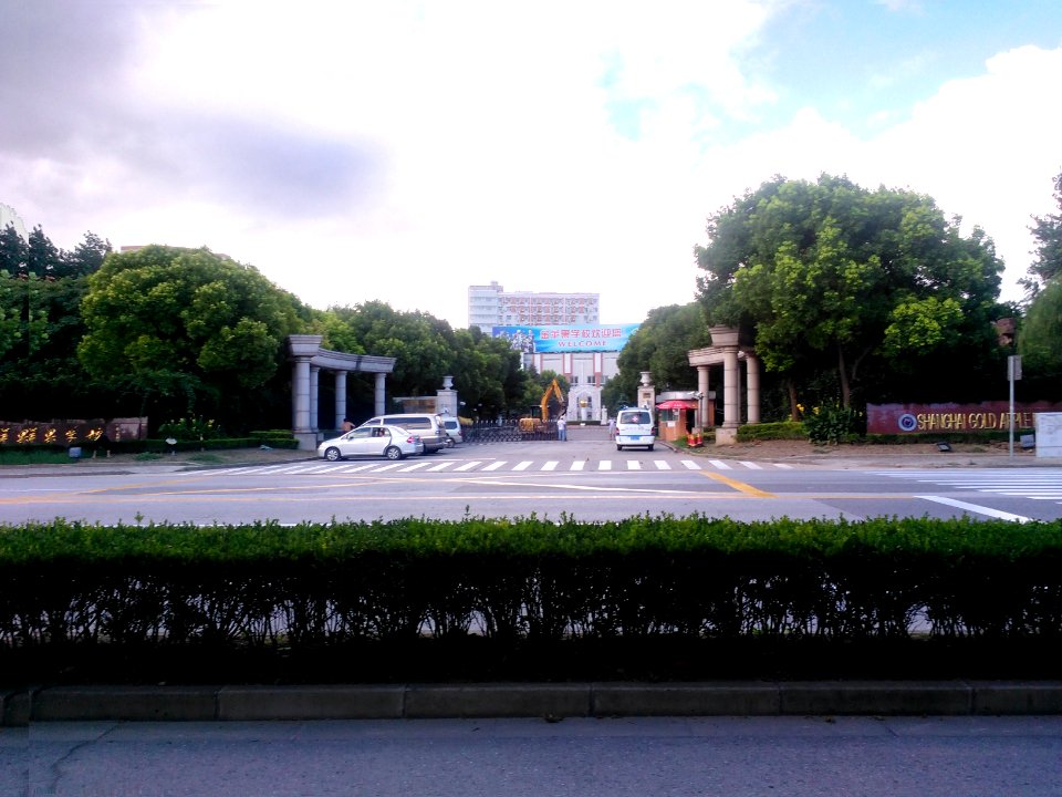 ShanghaiGoldApple0