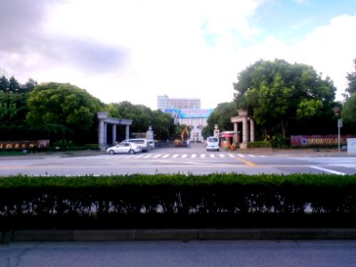 ShanghaiGoldApple0