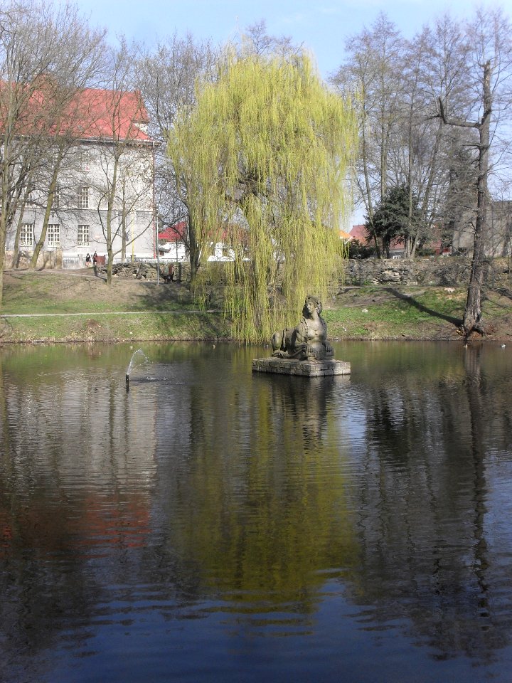 Sfingový rybník v Duchcově E