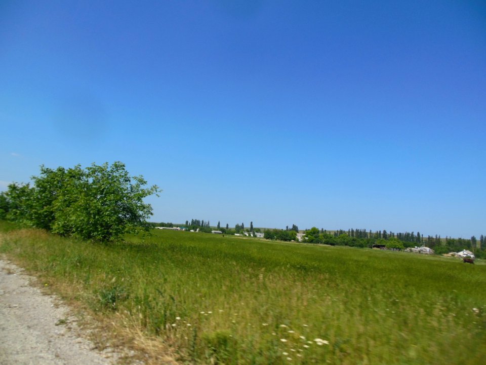 SevernoeBel 7